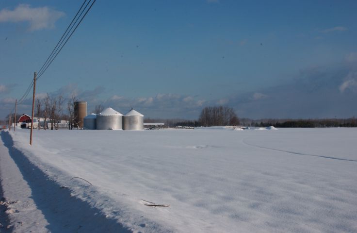 Farm Country, County Road 208 Ontario County New York. 24 hour fresh 9:20 AM. Jan 23rd 2004 RocPic.Com POD RocPic.Com POD - Rochester NY Picture Of The Day from RocPic.Com winter spring summer fall pictures photos images people buildings events concerts festivals photo image at new images daily Rochester New York Fall I Love NY I luv NY Rochester New York Jan 2004 POD Winter view picture photo image pictures photos images