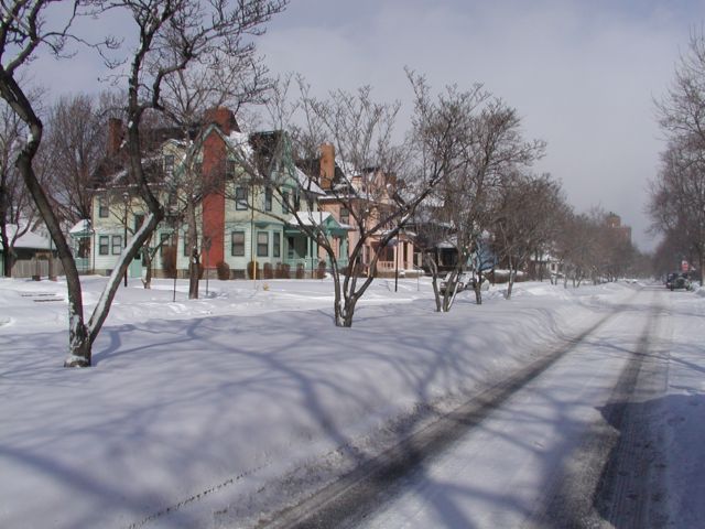 Photo Snow covered Oxford St. Mall looking towards Park Ave. Snow covered Rochester NY New York City living January 25th 2003 POD I Love NY Rochester NY New York winter Oxford Street Park Avenue Picture Of The Day view picture photo image pictures photos images, January 25th 2003 POD