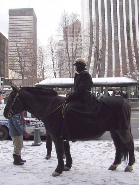 Picture Rochester Mounted Police, Photo taken during the Coldrush Festival. Xerox, Bausch and Lomb, Linconln Tower fill up the background, shot at Clinton Ave. and East Main St. February 11th 2003 POD winter Picture Of The Day view picture photo image picture pictures photos images, February 11th 2003 POD