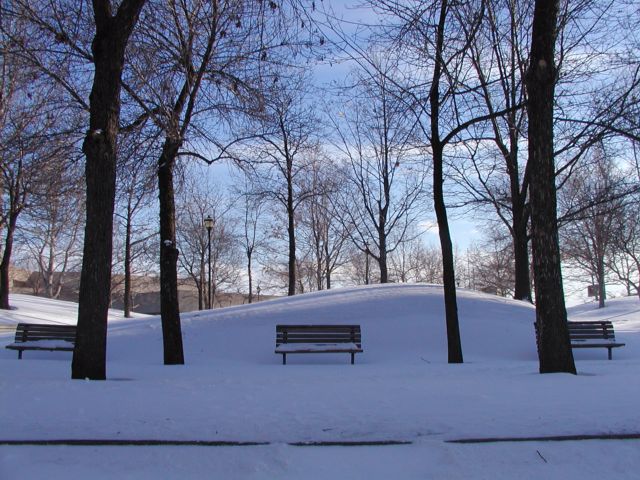 Picture Cool spot in the shade. Benches Manhattan Square Park  Rochester NY February 16th 2003 POD winter Picture Of The Day view picture photo image picture pictures photos images