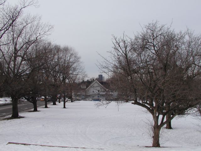 Picture Culver Road meets Monroe Ave as seen from snow covered Cobbs Hill Park Rochester Downtown Skyline center background winter view. Rochester NY February 28th 2003 POD winter Picture Of The Day view picture photo image picture pictures photos images