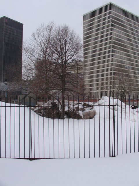 Picture Leafless trees nestled between Xerox and HSBC silhouette the winter sky Rochester NY winter view. Rochester NY March 5th 2003 POD winter Picture Of The Day view picture photo image picture pictures photos images