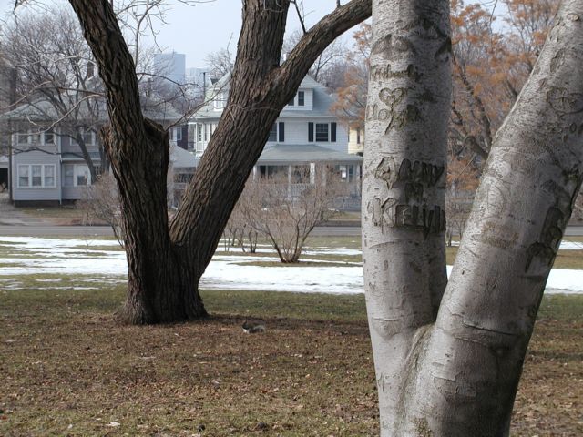 Picture Spring is in the air, as is a bit of the Rochester skyline. View from lower portion of Cobbs Hill Park Rochester NY March 20th 2003 POD spring Picture Of The Day view picture photo image picture pictures photos images