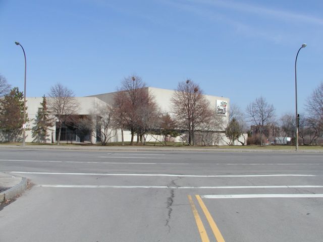 Picture Strong Museum 1 Manhattan Square Drive Rochester NY (585) 263-2700. Early spring empty nests in leafless trees, soon to be the center of activity. March 25th 2003 POD spring Picture Of The Day view picture photo image picture pictures photos images