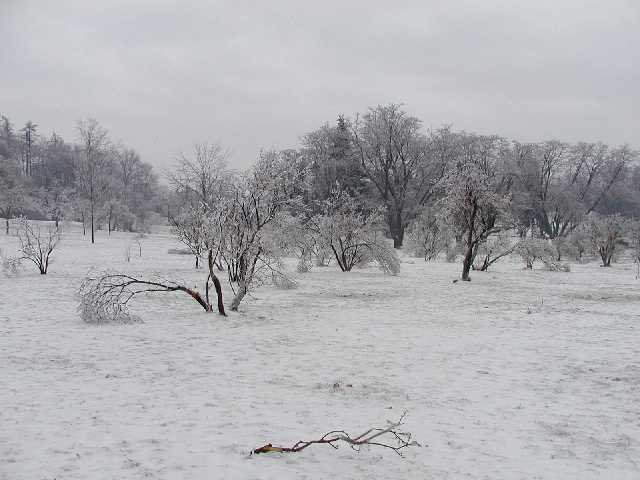 Picture Rochester NY Ice Storm aftermath. An April 5th 2003 walk around Cobbs Hill Park shows the destructive beauty of Mother Nature  DigitalSter.Com 64 more images shot on April 4th 2003 and 66 shot April 5th  are at the RocPic.Com web site from the link above or below. Rochester NY New York April 6th 2003 POD spring Picture Of The Day view picture photo image picture pictures photos images