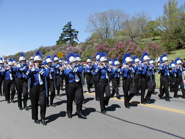 Picture Brockport High School Marching Band makes it's way down Highland Avenue past Highland Park Lilacs in full bloom, during the May 11th 2002 Lilac Festival Parade.  This is one of 160 images of last years Lilac Festival Parade that are published for the first time at RocPic.Com. It's been a long winter, soon Rochester will look like this. Rochester NY New York April 9th 2003 POD spring Picture Of The Day view picture photo image picture pictures photos images