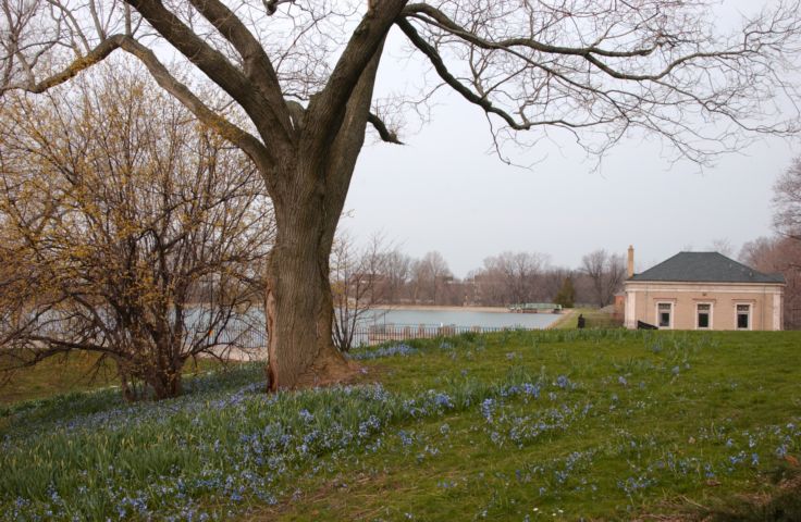 Picture Highland Park Rochester NY, site of the 2004 Lilac Festival has some flowering plants. Lilacs are in the budding stage. Fresh 9:44 AM. Apr 17th 2004 POD.- Rochester NY Picture Of The Day from RocPic.Com spring summer fall winter pictures photos images people buildings events concerts festivals photo image at new images daily Rochester New York Fall I Love NY I luv NY Rochester New York Jan 2004 POD Winter view picture photo image pictures photos images