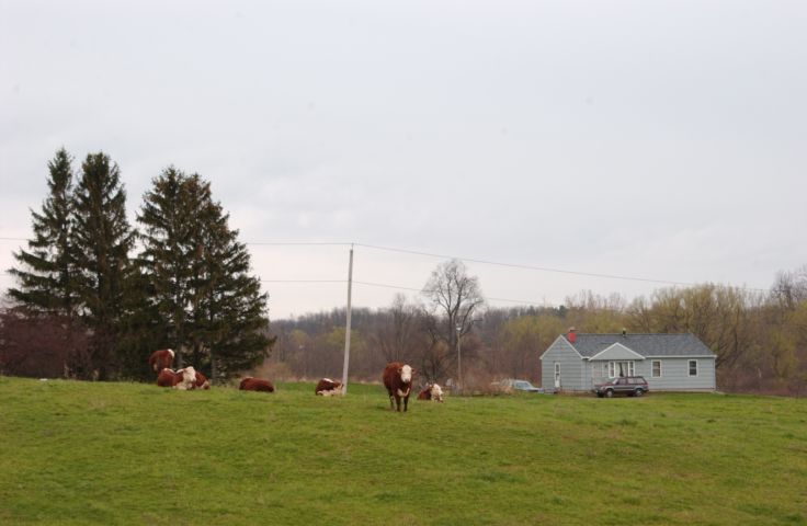 Picture Farm Country, Walworth NY. Fresh 9:11 AM. Apr 23rd 2004 POD. - Rochester NY Picture Of The Day from RocPic.Com spring summer fall winter pictures photos images people buildings events concerts festivals photo image at new images daily Rochester New York Fall I Love NY I luv NY Rochester New York Jan 2004 POD Winter view picture photo image pictures photos images