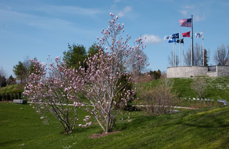 Picture Spring In Bloom Vietnam Veteran's Memorial Rochester NY. 24 hour fresh 10:38 AM. Apr 25th 2004 POD. - Rochester NY Picture Of The Day from RocPic.Com spring summer fall winter pictures photos images people buildings events concerts festivals photo image at new images daily Rochester New York Fall I Love NY I luv NY Rochester New York Jan 2004 POD Winter view picture photo image pictures photos images