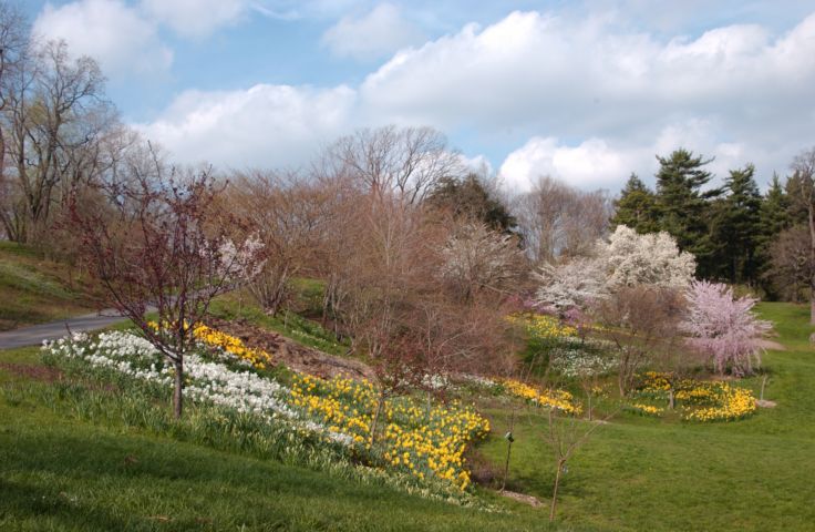 Picture Highland Park Rochester NY. 24 hour fresh 4:57 PM. Apr 27th 2004 POD. - Rochester NY Picture Of The Day from RocPic.Com spring summer fall winter pictures photos images people buildings events concerts festivals photo image at new images daily Rochester New York Fall I Love NY I luv NY Rochester New York Jan 2004 POD Winter view picture photo image pictures photos images