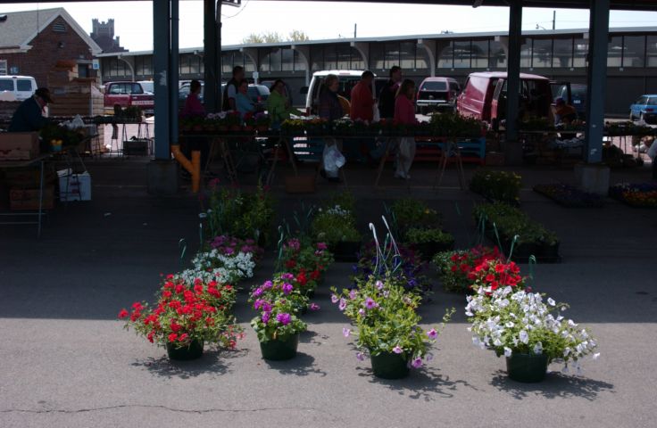 Picture - Hanging Plants At The Public Market. Fresh 11:49 AM. May 5th 2005 POD - Rochester NY Picture Of The Day from RocPic.Com spring summer fall winter pictures photos images people buildings events concerts festivals photo image at new images daily Rochester New York Fall I Love NY I luv NY Rochester New York 2004 POD view picture photo image pictures photos images
