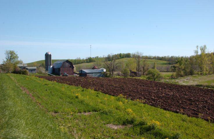 Picture Freshly Ploughed Field Faas Road Farm Manchester NY. Fresh 9:28 a.m. May 7th 2004 POD. - Rochester NY Picture Of The Day from RocPic.Com spring summer fall winter pictures photos images people buildings events concerts festivals photo image at new images daily Rochester New York Fall I Love NY I luv NY Rochester New York Jan 2004 POD Winter view picture photo image pictures photos images