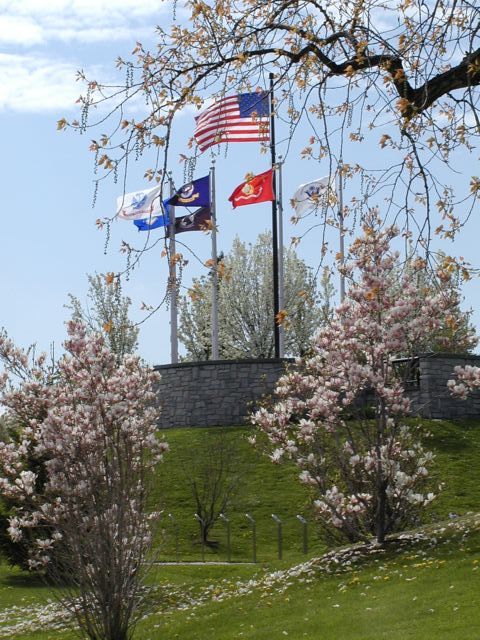 Picture - A Salute: Armed Foces Day 2003 - Flags of the USA and all branches of the US Military fly above the Vietnam Veterans Memorial of Greater Rochester.Rochester NY Picture Of The Day from DigitalSter.Com & RocPic.Com spring summer fall winter pictures photos images people buildings events concerts festivals photo image at digitalster.com new images daily 2003 Rochester New York Spring I Love NY I luv NY Rochester New York May 17th 2003 POD spring view picture photo image pictures photos images