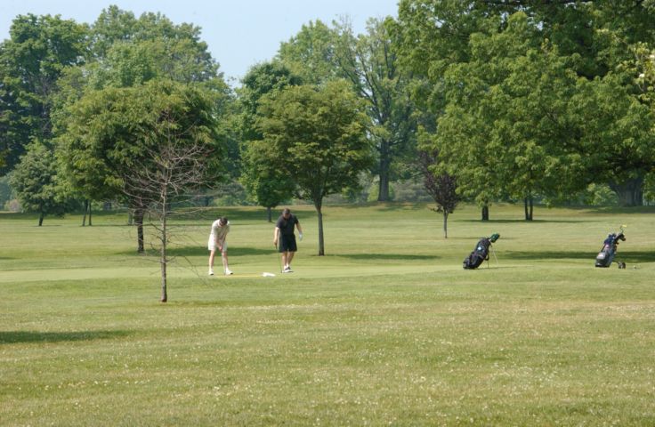 Picture - Golfing In Genesee Valley Park. Fresh 3:08 PM. June 10th 2005 POD. - Rochester NY Picture Of The Day from RocPic.Com spring summer fall winter pictures photos images people buildings events concerts festivals photo image at new images daily Rochester New York Fall I Love NY I luv NY Rochester New York 2005 POD view picture photo image pictures photos images