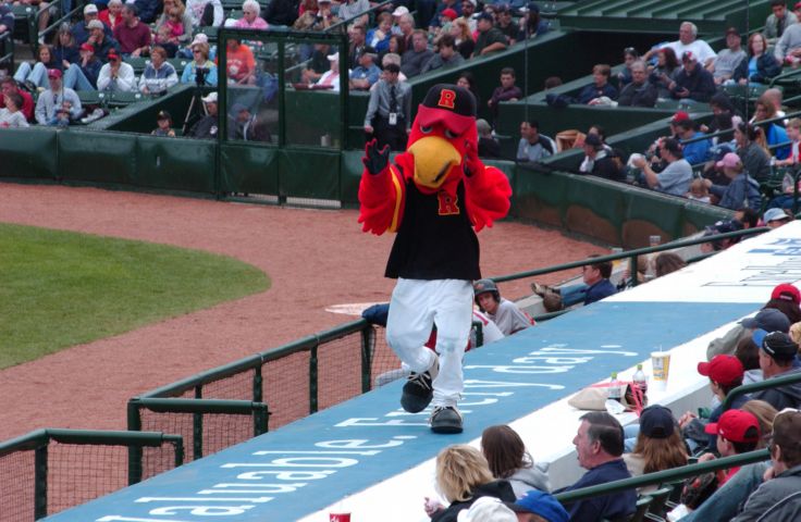 Picture - Who's Your Daddy? Spikes Does A Dance On The Visitors Dugout During A Father's Day Red Wings Baseball Game. Fresh 3:33 PM. June 19th 2005 POD. - Rochester NY Picture Of The Day from RocPic.Com spring summer fall winter pictures photos images people buildings events concerts festivals photo image at new images daily Rochester New York Fall I Love NY I luv NY Rochester New York 2005 POD view picture photo image pictures photos images