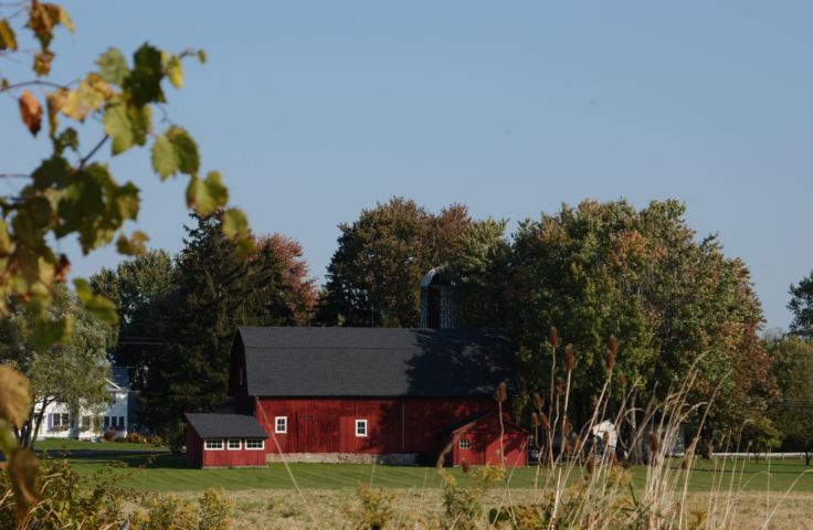 Picture - Baird Road Farm Penfield NY - Rochester NY Picture Of The Day from RocPic.Com fall winter spring summer pictures photos images people buildings events concerts festivals photo image at digitalster.com new images daily 2003 Rochester New York Summer I Love NY I luv NY Rochester New York Oct 2003 POD fall view picture photo image pictures photos images
