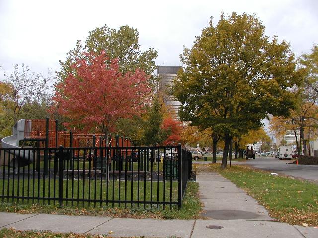 Rochester NY New York Picture Of The Day November 1st 2002 Secret Park ! Bausch behind tree, Xerox center HSBC right view from the secret park offf monroe ave photo  Photos Pictures Image Images