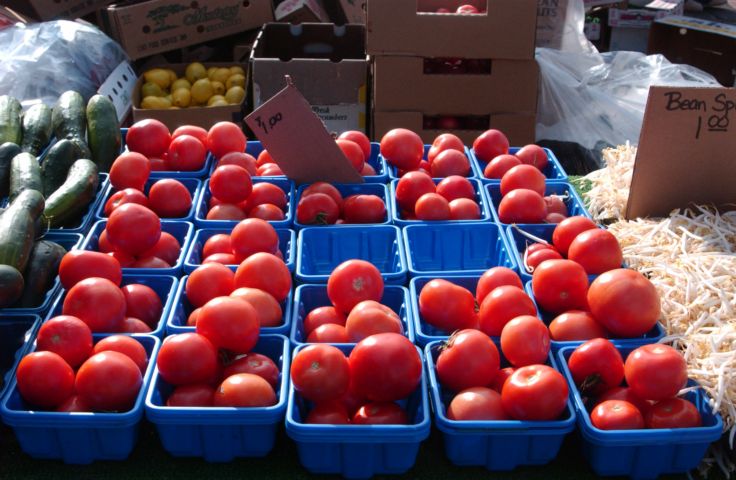 Picture - Fresh Tomatoes At The Public Market. Rochester NY Nov 6th 2004 POD. - Rochester NY Picture Of The Day from RocPic.Com fall winter spring summer pictures photos images people buildings events concerts festivals photo image at new images daily Rochester New York Fall I Love NY I luv NY Rochester New York 2004 POD view picture photo image pictures photos images