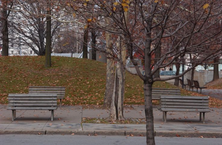 Picture - Park Benches. Manhattan Square Park. Rochester NY Nov 17th 2004 POD. - Rochester NY Picture Of The Day from RocPic.Com fall winter spring summer pictures photos images people buildings events concerts festivals photo image at new images daily Rochester New York Fall I Love NY I luv NY Rochester New York 2004 POD view picture photo image pictures photos images