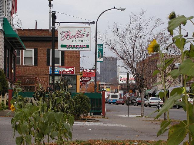 Picture Of The Day Rochester NY New York November 21st 2002 Monroe Ave Sunflowers View Of Bella's Restaurant Sign Dowtown From Monroe Avenue and Oxford Street Photo Photos Pictures Image Images