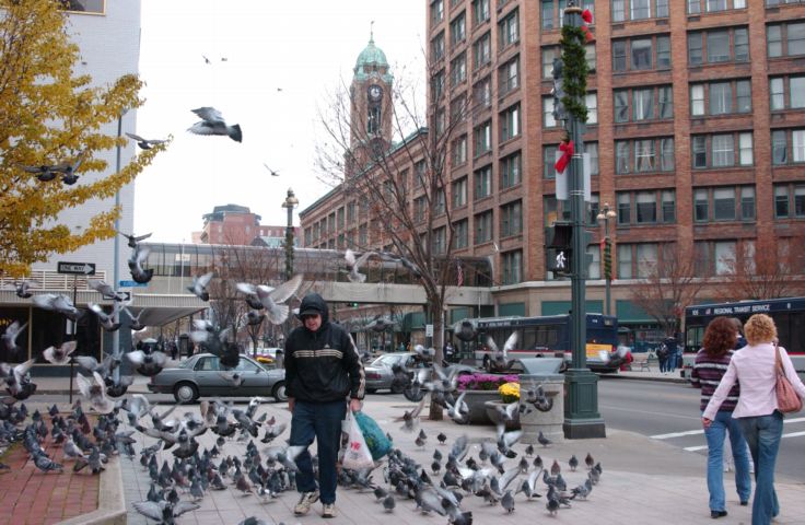 Picture - Feeding The Birds. Rochester NY Nov 22nd 2004 POD. - Rochester NY Picture Of The Day from RocPic.Com fall winter spring summer pictures photos images people buildings events concerts festivals photo image at new images daily Rochester New York Fall I Love NY I luv NY Rochester New York 2004 POD view picture photo image pictures photos images