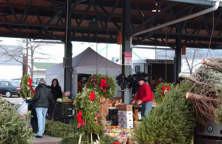 Picture -Fresh Cut Christmas Trees At The Public Market. Dec 3rd 2004 POD. - Rochester NY Picture Of The Day from RocPic.Com fall winter spring summer pictures photos images people buildings events concerts festivals photo image at new images daily Rochester New York Fall I Love NY I luv NY Rochester New York 2004 POD view picture photo image pictures photos images
