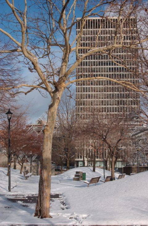 Picture - HSBC As Seen Through Snow Covered Manhattan Square Park. Dec 15th 2004 POD. - Rochester NY Picture Of The Day from RocPic.Com fall winter spring summer pictures photos images people buildings events concerts festivals photo image at new images daily Rochester New York Fall I Love NY I luv NY Rochester New York 2004 POD view picture photo image pictures photos images
