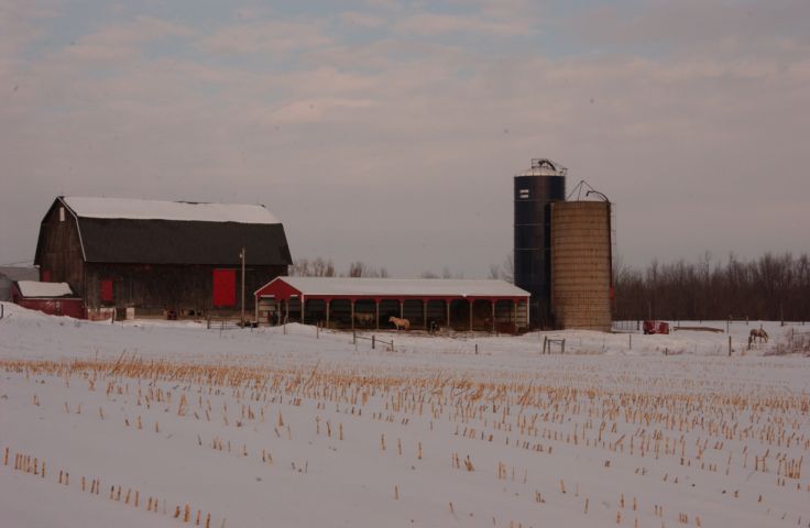 Picture Horse farm, barns and silos covered with snow. Armington Road, Palmyra New York. RocPic.Com . Feb 13th 2004 POD. 24 hour fresh 9:10 AM. - Rochester NY Picture Of The Day from RocPic.Com winter spring summer fall pictures photos images people buildings events concerts festivals photo image at new images daily Rochester New York Fall I Love NY I luv NY Rochester New York Jan 2004 POD Winter view picture photo image pictures photos images