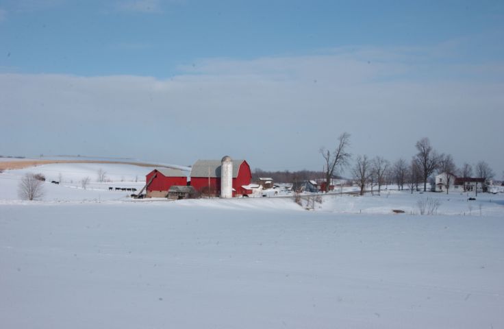 Picture Dairy Farm Faas Road Manchester New York. Country fresh 9:40 AM RocPic.Com Feb 16th 2004 POD. - Rochester NY Picture Of The Day from RocPic.Com winter spring summer fall pictures photos images people buildings events concerts festivals photo image at new images daily Rochester New York Fall I Love NY I luv NY Rochester New York Jan 2004 POD Winter view picture photo image pictures photos images