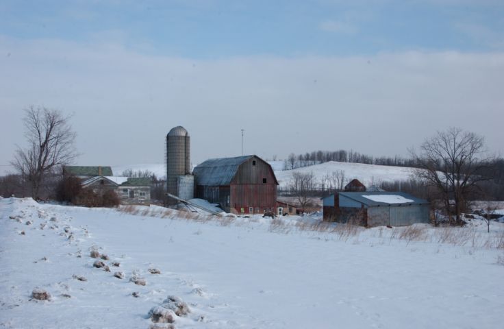 Picture Faas Rd. Farm Manchester NY. 24 hour fresh 9:35 AM. RocPic.Com Feb 17th 2004 POD. - Rochester NY Picture Of The Day from RocPic.Com winter spring summer fall pictures photos images people buildings events concerts festivals photo image at new images daily Rochester New York Fall I Love NY I luv NY Rochester New York Jan 2004 POD Winter view picture photo image pictures photos images