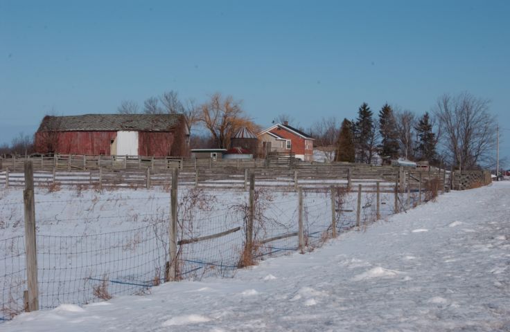 Picture Fences, Faas Rd. Farm, Manchester New York. 24 hour Country fresh 9:44 AM. RocPic.Com Feb 26th 2004 POD. - Rochester NY Picture Of The Day from RocPic.Com winter spring summer fall pictures photos images people buildings events concerts festivals photo image at new images daily Rochester New York Fall I Love NY I luv NY Rochester New York Jan 2004 POD Winter view picture photo image pictures photos images