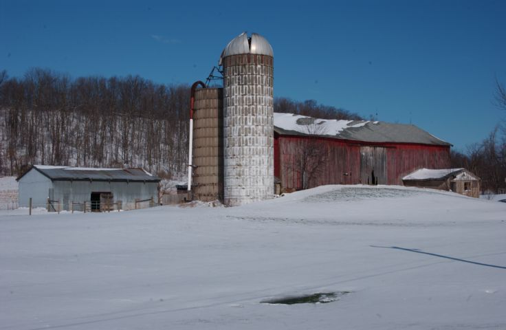 Picture Johnson Rd. Farm, Palmyra NY. Fresh 8:45 AM Apr 5th 2004 POD. - Rochester NY Picture Of The Day from RocPic.Com winter spring summer fall pictures photos images people buildings events concerts festivals photo image at new images daily Rochester New York Fall I Love NY I luv NY Rochester New York Jan 2004 POD Winter view picture photo image pictures photos images