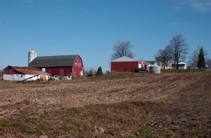 Picture Walworth-Ontario Road Farm. Fresh 9:15 AM Apr 9th 2004 POD.- Rochester NY Picture Of The Day from RocPic.Com winter spring summer fall pictures photos images people buildings events concerts festivals photo image at new images daily Rochester New York Fall I Love NY I luv NY Rochester New York Jan 2004 POD Winter view picture photo image pictures photos images